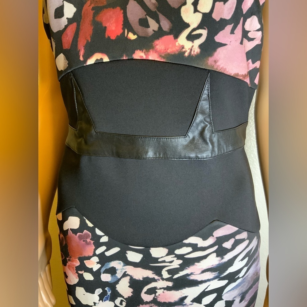 Bebe Dress - Picture 4 of 7